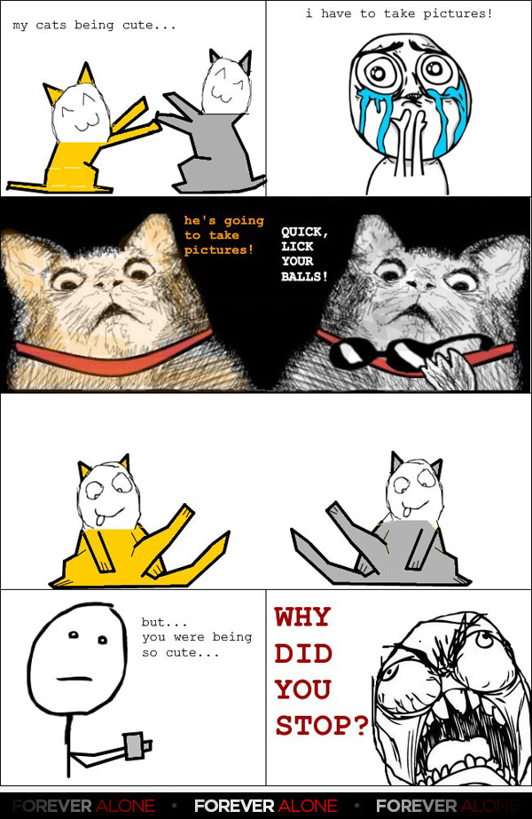 Rage Comics (22 Photos) - Forever Alone : Forever Alone