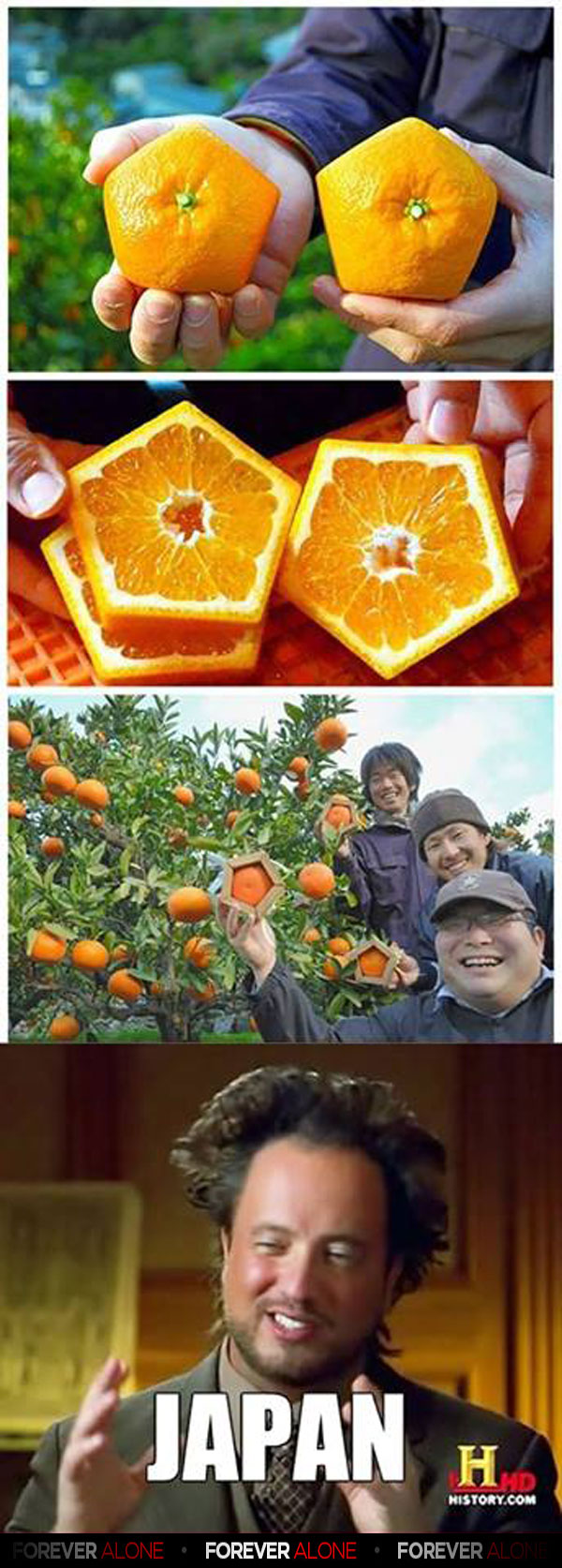 Oranges